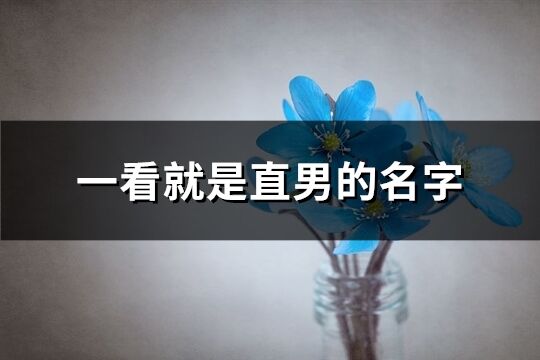 一看就是直男的名字(273個)