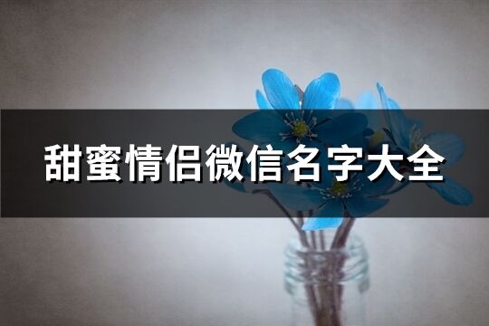 甜蜜情侶微信名字大全(精選303個)