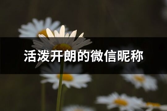 活潑開朗的微信昵稱(優選180個)