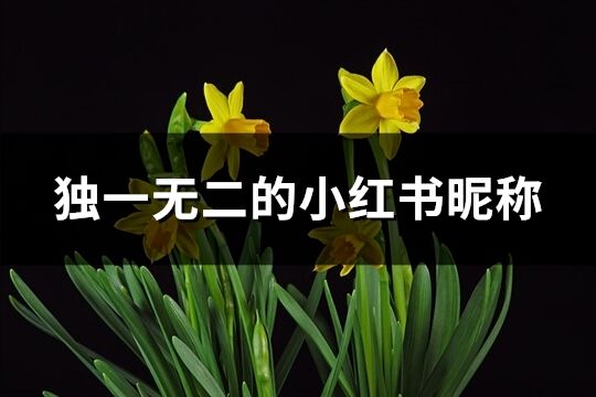 獨一無二的小紅書昵稱(優選102個)