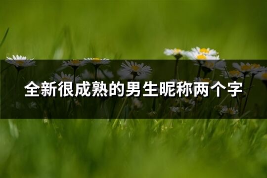 全新很成熟的男生昵稱兩個字(優選582個)