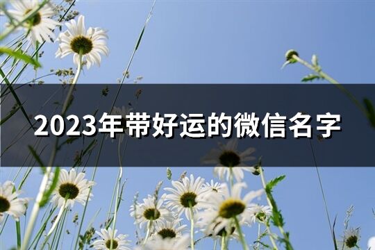 2023年帶好運的微信名字(2309個)