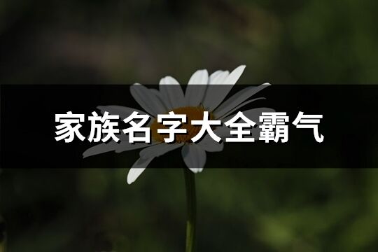 家族名字大全霸氣(255個)