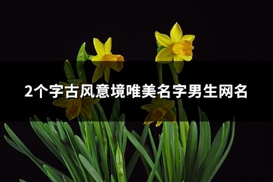2個(gè)字古風(fēng)意境唯美名字男生網(wǎng)名(共303個(gè))