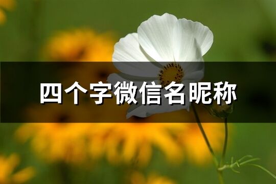 四個字微信名昵稱(精選942個)