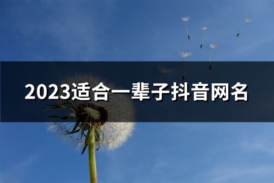 2023適合一輩子抖音網名(優選512個)