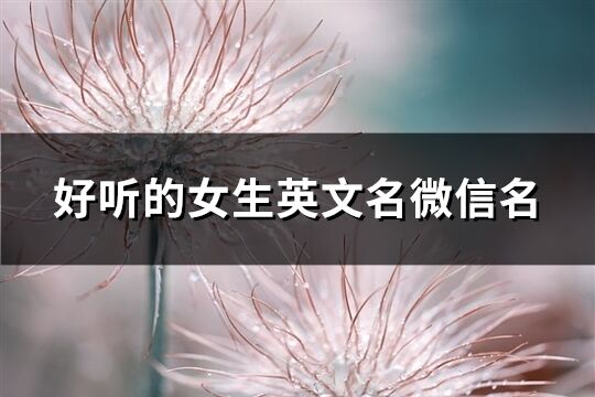好聽的女生英文名微信名(105個)