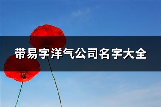帶易字洋氣公司名字大全(共57個(gè))