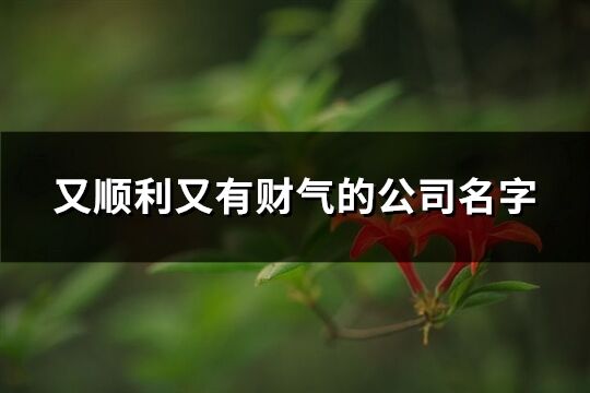 又順利又有財氣的公司名字(優選88個)