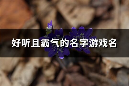 好聽且霸氣的名字游戲名(共662個)