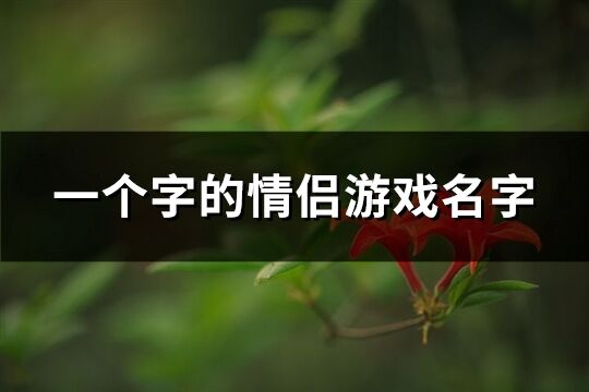 一個字的情侶游戲名字(優選77個)