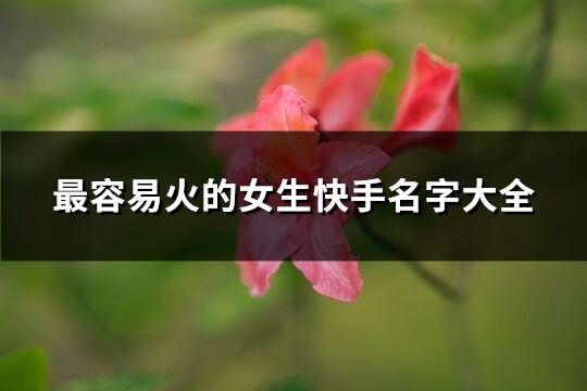 最容易火的女生快手名字大全(1338個)