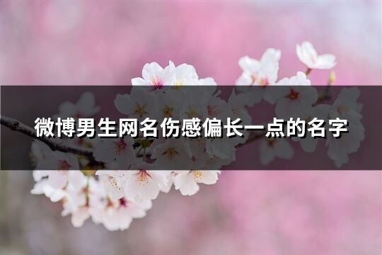 微博男生網名傷感偏長一點的名字(共189個)