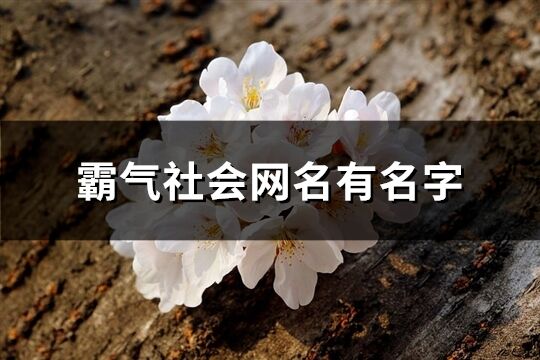 霸氣社會網名有名字(優選257個)