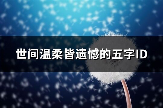 世間溫柔皆遺憾的五字ID(精選651個)