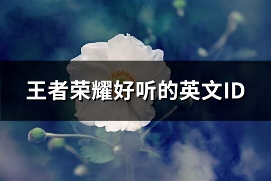 王者榮耀好聽的英文ID(113個(gè))