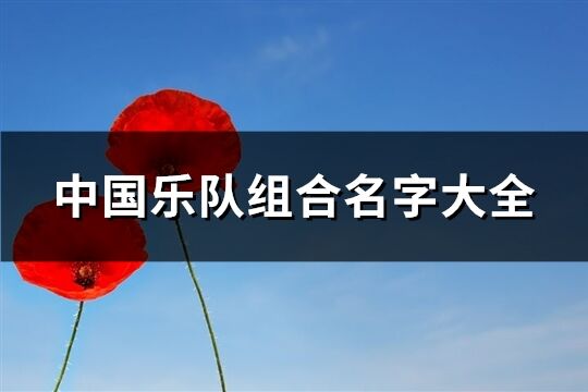 中國樂隊組合名字大全(61個)