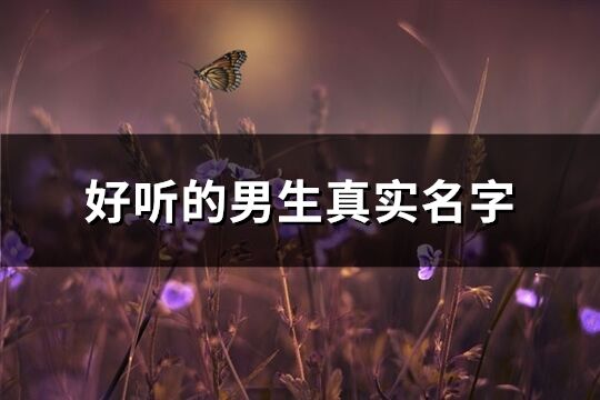 好聽的男生真實名字(1265個)