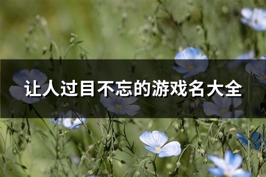 讓人過目不忘的游戲名大全(優選530個)