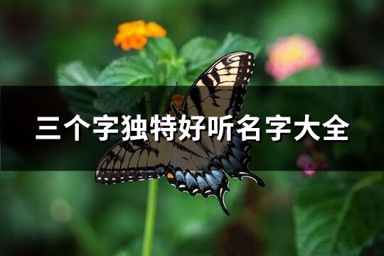 三個字獨特好聽名字大全(920個)