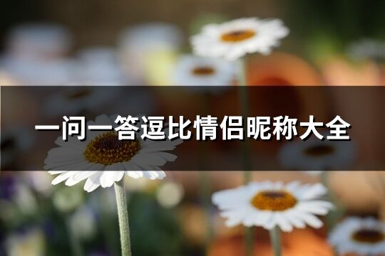 一問一答逗比情侶昵稱大全(精選104個)