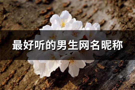 最好聽的男生網名昵稱(564個)