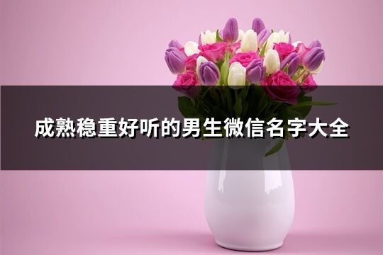 成熟穩(wěn)重好聽的男生微信名字大全(共486個(gè))