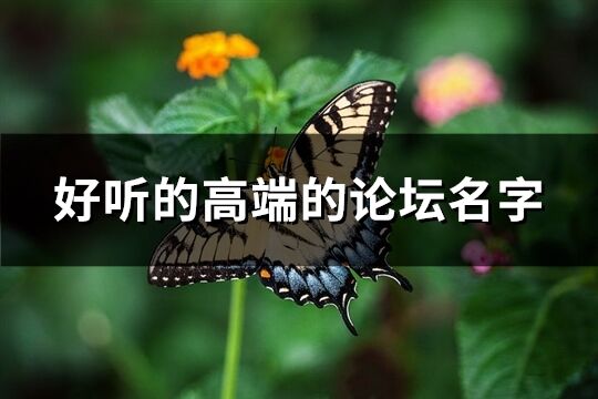 好聽的高端的論壇名字(103個)