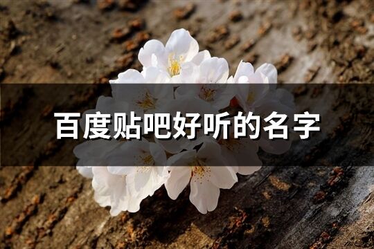 百度貼吧好聽的名字(153個)