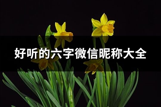 好聽的六字微信昵稱大全(精選268個)