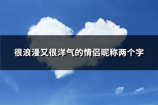 很浪漫又很洋氣的情侶昵稱兩個字(共493個)