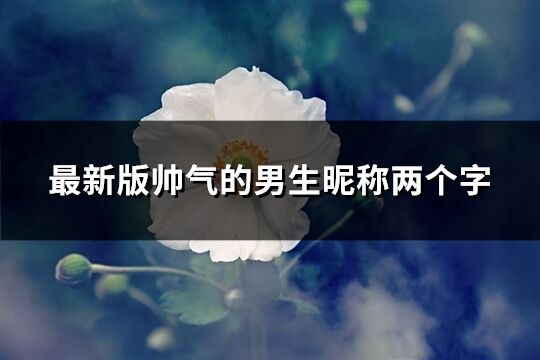 最新版帥氣的男生昵稱兩個字(共683個)