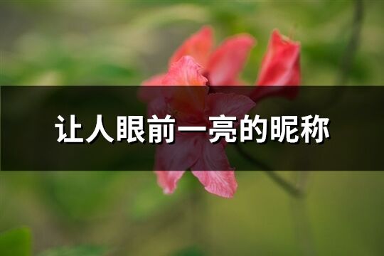 讓人眼前一亮的昵稱(精選87個)