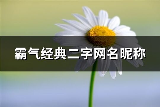 霸氣經典二字網名昵稱(共859個)