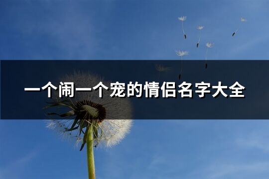 一個(gè)鬧一個(gè)寵的情侶名字大全(優(yōu)選65個(gè))