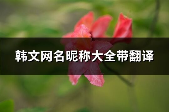 韓文網名昵稱大全帶翻譯(109個)