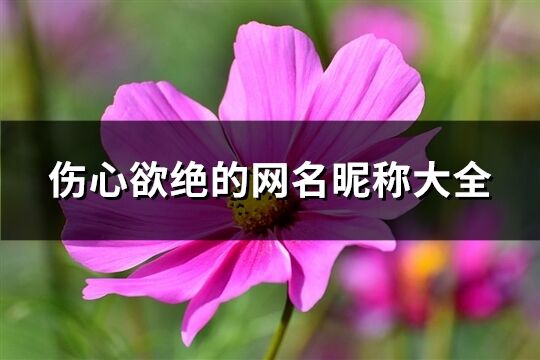 傷心欲絕的網名昵稱大全(321個)
