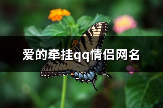 愛的牽掛qq情侶網名(341個)