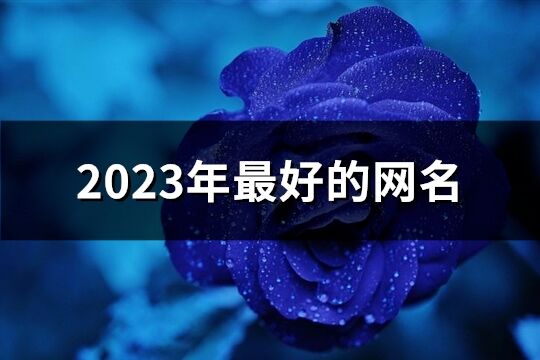 2023年最好的網名(共1399個)