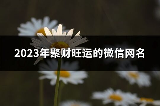 2023年聚財旺運的微信網名(538個)