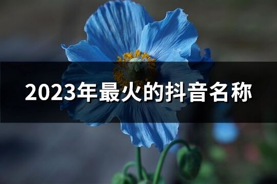 2023年最火的抖音名稱(chēng)(精選670個(gè))