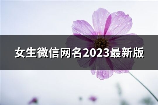 女生微信網名2023最新版(精選1006個)