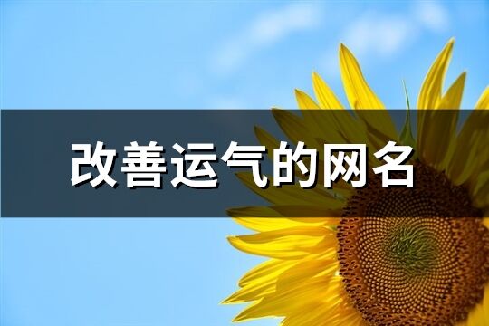 改善運氣的網名(優選445個)