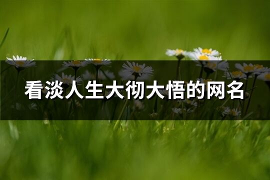 看淡人生大徹大悟的網名(優選464個)