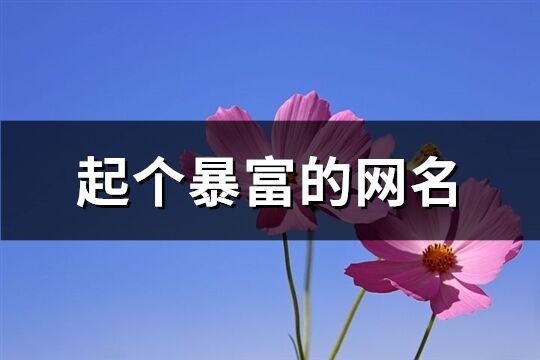 起個暴富的網名(優選362個)