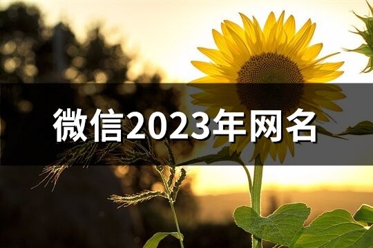 微信2023年網(wǎng)名(1637個(gè))
