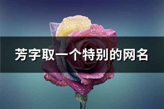 芳字取一個特別的網名(優選151個)