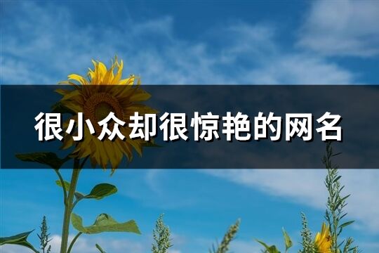 很小眾卻很驚艷的網(wǎng)名(優(yōu)選262個(gè))