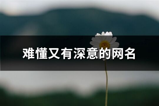 難懂又有深意的網名(精選360個)