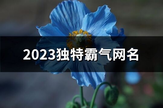 2023獨特霸氣網名(優選721個)